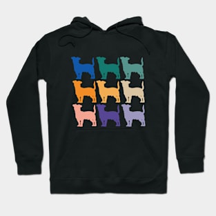 Jack Russell Terrier Rainbow Dogs Hoodie